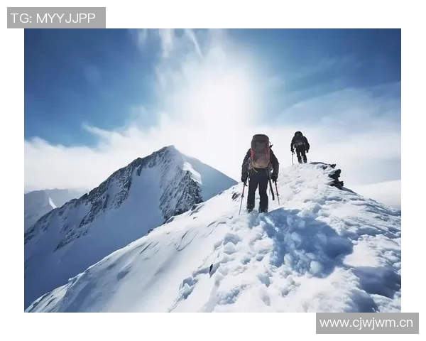 深圳极限运动队的挑战与突破：一段激情与坚持的纪实之旅